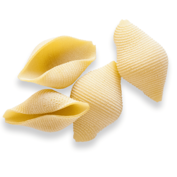 Conchiglioni Box (6 x 500g)